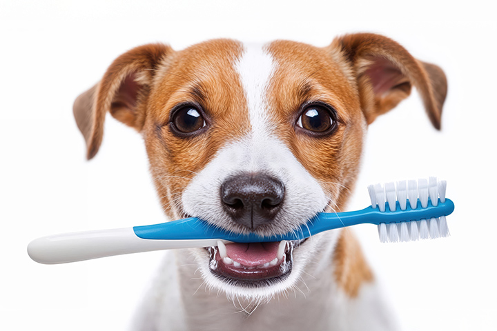  歯周病のサイン