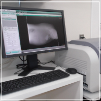 デジタル画像診断システム